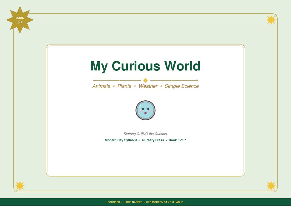 My Curious World